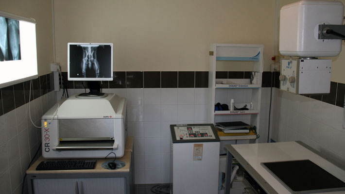 Salle d'imagerie Radiographie numérique vétérinaire