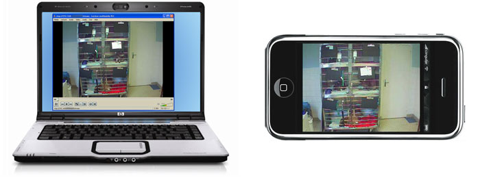 surveillance hospitalisation webcam Vidéo-surveillance sur PC et sur Iphone