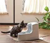 fontaine à eau pour chat
