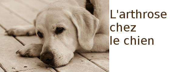 Si se soigne leczéma chez les enfants