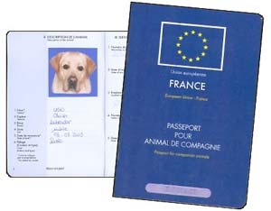 passeport européen chien passeport européen chien