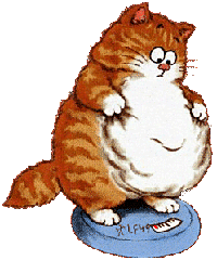 chat-obese chat obèse sur une balance