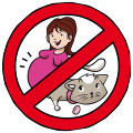 Attention au femmes enceinte avec les parasites du chat Attention au femmes enceinte avec les parasites du chat
