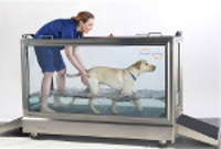 808011_2-585×585 physiothérapie balnéothérapie chez le chien