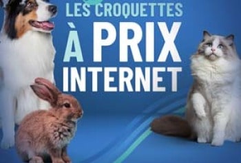 croquettes vétérinaires pas cher à Caen