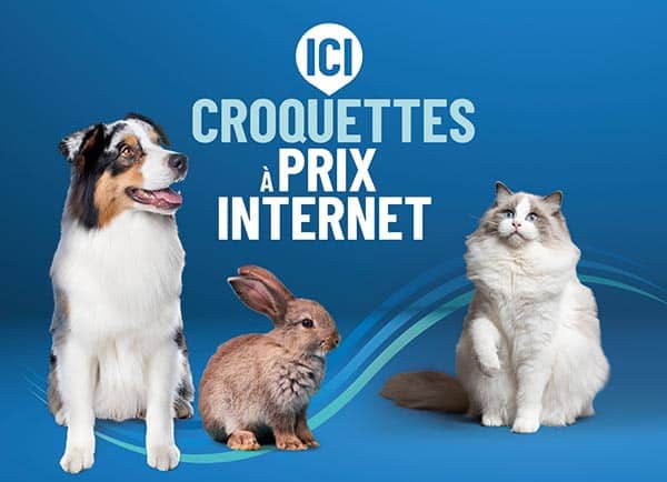 Croquettes vétérinaires pas cher au prix d'internet