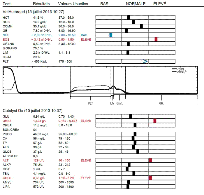 analyse de sang vétérinaire biochimie hématologie