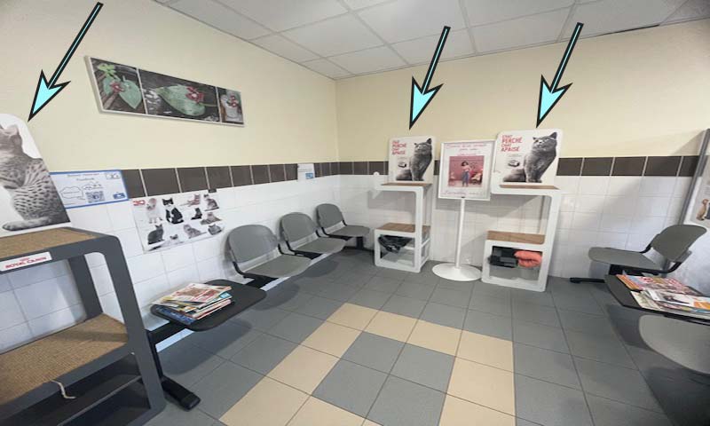 Salle-d’attente1_ww Salle d'attente l'arche e Venoix - Cat Friendly